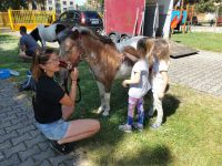 Poníci v naší Mateřince 26.5.2022